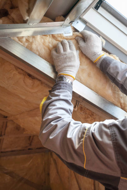 Types of Insulation We Offer in SD
