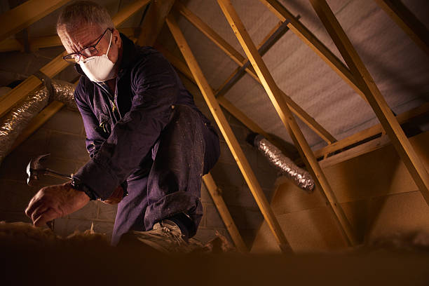 Best Commercial Insulation in Fort Thompson, SD